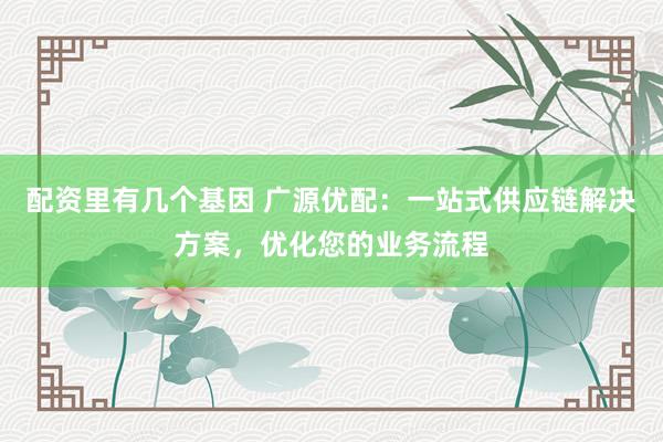 配资里有几个基因 广源优配：一站式供应链解决方案，优化您的业务流程