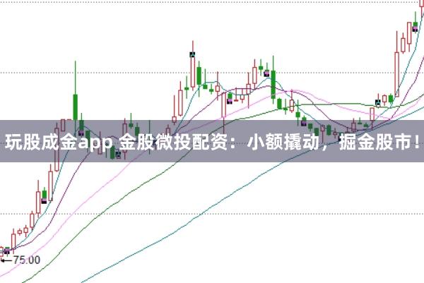 玩股成金app 金股微投配资：小额撬动，掘金股市！