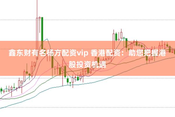 鑫东财有名杨方配资vip 香港配资：助您把握港股投资机遇