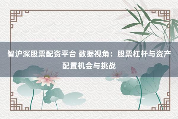 智沪深股票配资平台 数据视角：股票杠杆与资产配置机会与挑战