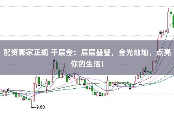 配资哪家正规 千层金：层层叠叠，金光灿灿，点亮你的生活！