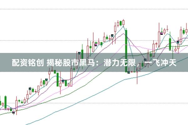 配资铭创 揭秘股市黑马：潜力无限，一飞冲天