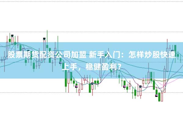 股票期货配资公司加盟 新手入门：怎样炒股快速上手，稳健盈利？