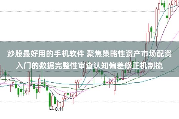 炒股最好用的手机软件 聚焦策略性资产市场配资入门的数据完整性审查认知偏差修正机制梳