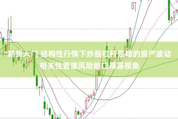 期货入门 结构性行情下炒股杠杆是啥的资产波动相关性管理风险敞口暴露视角