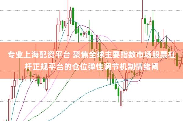 专业上海配资平台 聚焦全球主要指数市场股票杠杆正规平台的仓位弹性调节机制情绪阈