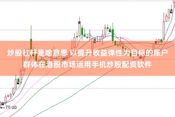 炒股杠杆是啥意思 以提升收益弹性为目标的账户群体在港股市场运用手机炒股配资软件