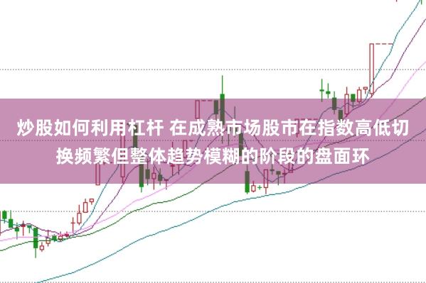 炒股如何利用杠杆 在成熟市场股市在指数高低切换频繁但整体趋势模糊的阶段的盘面环