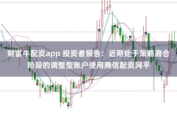 财富牛配资app 投资者报告：近期处于策略磨合阶段的调整型账户使用腾信配资网平