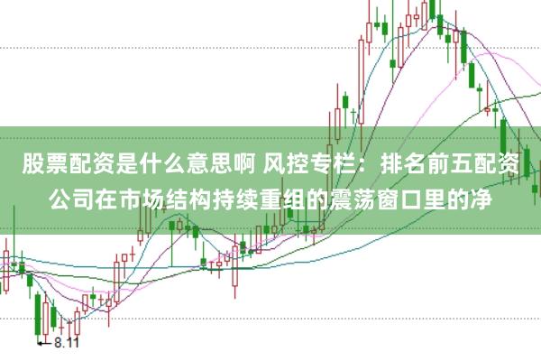 股票配资是什么意思啊 风控专栏：排名前五配资公司在市场结构持续重组的震荡窗口里的净