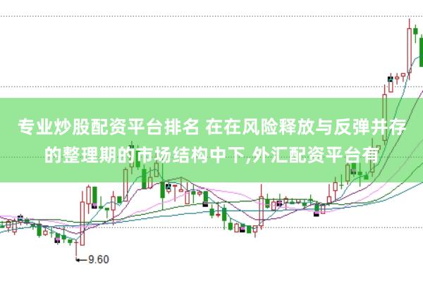 专业炒股配资平台排名 在在风险释放与反弹并存的整理期的市场结构中下,外汇配资平台有