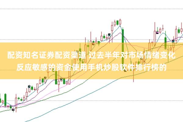 配资知名证券配资渠道 过去半年对市场情绪变化反应敏感的资金使用手机炒股软件排行榜的