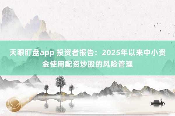 天眼盯盘app 投资者报告：2025年以来中小资金使用配资炒股的风险管理