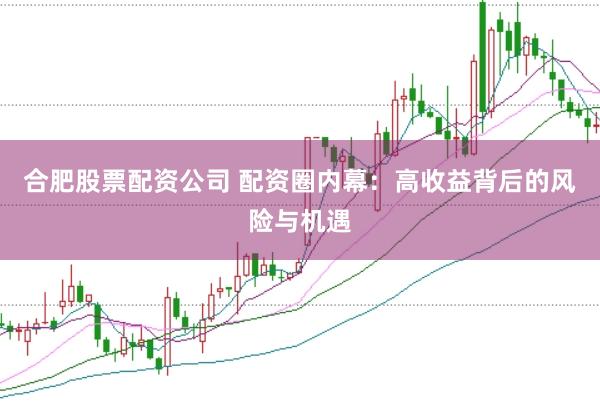 合肥股票配资公司 配资圈内幕：高收益背后的风险与机遇