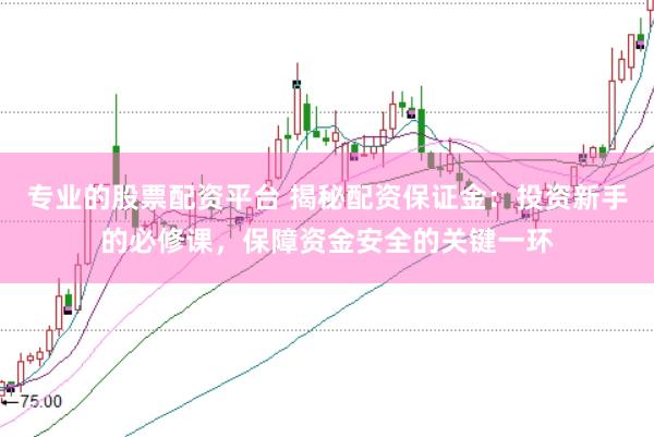 专业的股票配资平台 揭秘配资保证金：投资新手的必修课，保障资金安全的关键一环