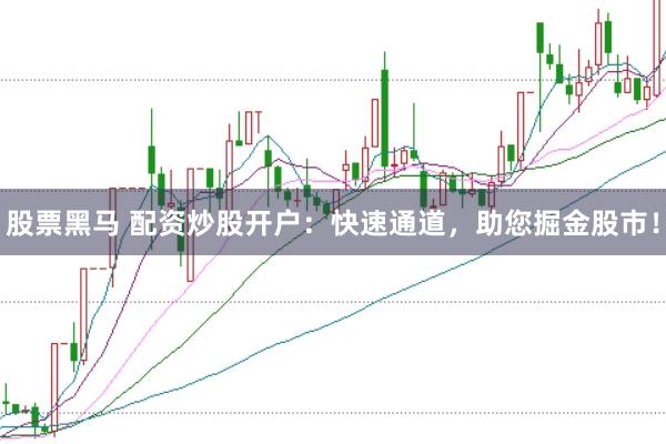 股票黑马 配资炒股开户：快速通道，助您掘金股市！