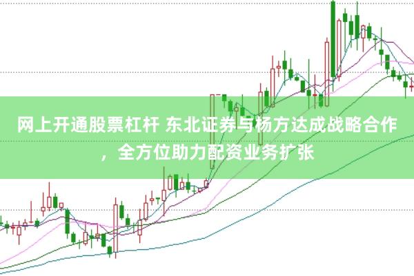 网上开通股票杠杆 东北证券与杨方达成战略合作，全方位助力配资业务扩张
