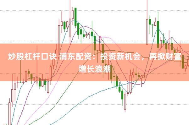 炒股杠杆口诀 浦东配资：投资新机会，再掀财富增长浪潮